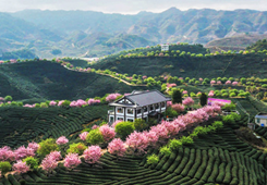 ��ȫ���GɫʳƷһ�����a(ch��n)�I(y��)�ںϰl(f��)չʾ���@�����γ��t ��ƽ�_��(chu��ng)�@�ϰ�