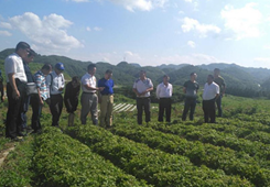 �ό����_(t��i)��ͬ��Ͷ�Y��I(y��)�f(xi��)��(hu��)��ǭ��Ͷ�Y����