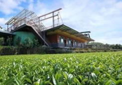 2018���{�ɰ�����W(xu��)�ӹ���֮�ǽ����Ļ��w�(y��n)�I�_�I