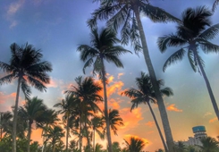 ȫ���_��(li��n)���L���������V�������п���