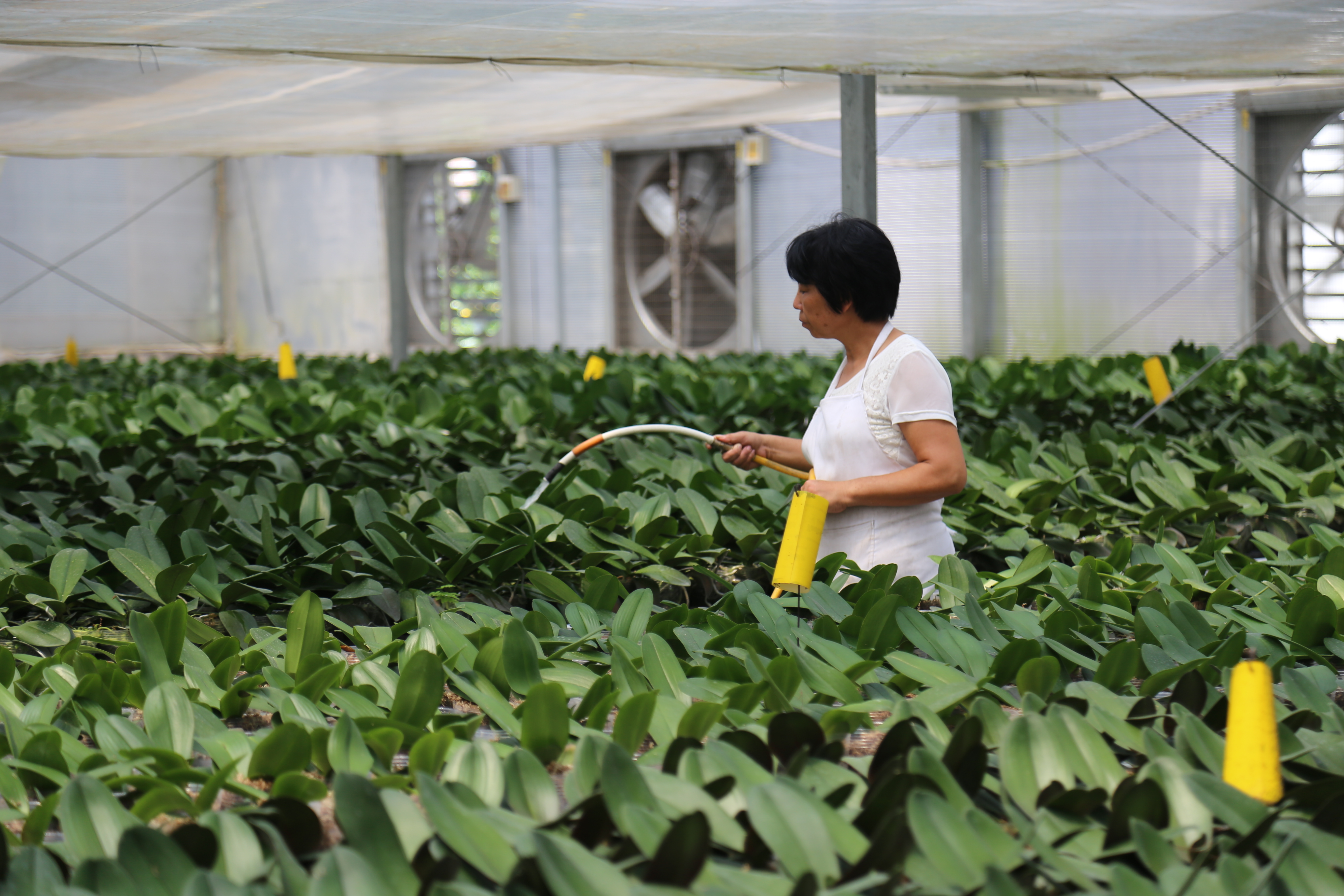 �ɾ��_���r(n��ng)��(chu��ng)�I(y��)�@��(g��u)�������a(ch��n)�ںϡ��ɳ��m(x��)ѭ�h(hu��n)�Gɫ�a(ch��n)�I(y��)�l(f��)չ