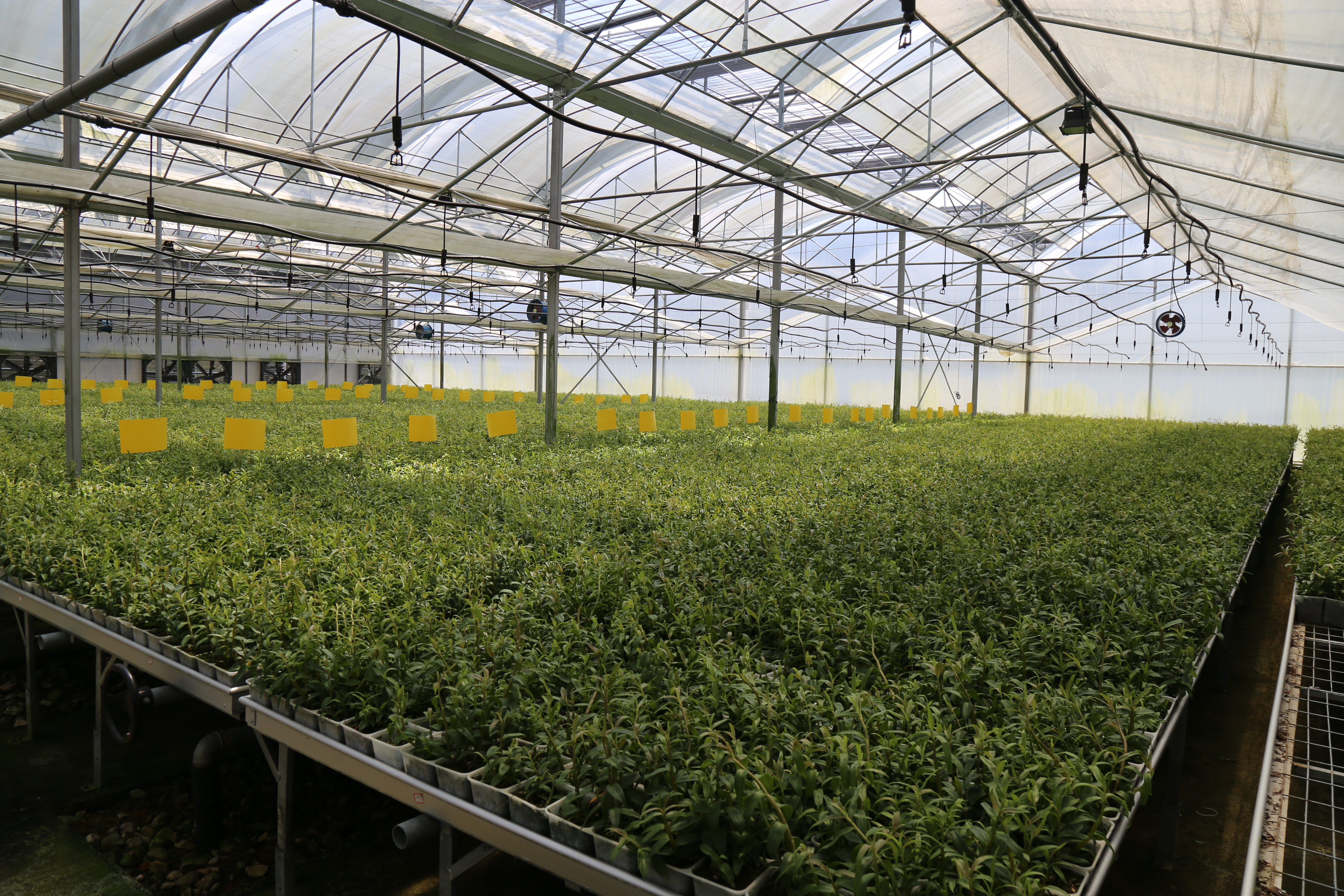 �ɾ��_���r(n��ng)��(chu��ng)�I(y��)�@��(g��u)�������a(ch��n)�ںϡ��ɳ��m(x��)ѭ�h(hu��n)�Gɫ�a(ch��n)�I(y��)�l(f��)չ