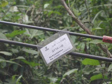 �������Ѕ^(q��)�����ɽ�(zh��n)�������;�֏�(f��)��ͨ�ž�·