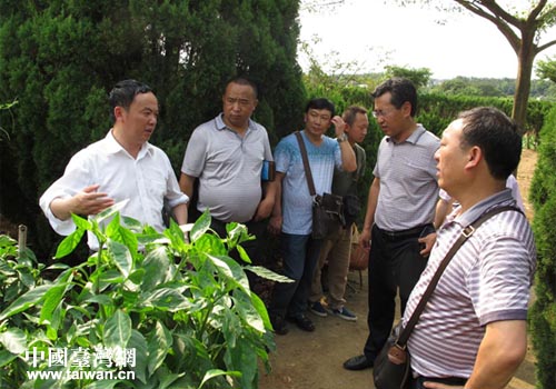 考察團一行赴臺進行農(nóng)業(yè)考察 考察團一行赴臺進行農(nóng)業(yè)考察
