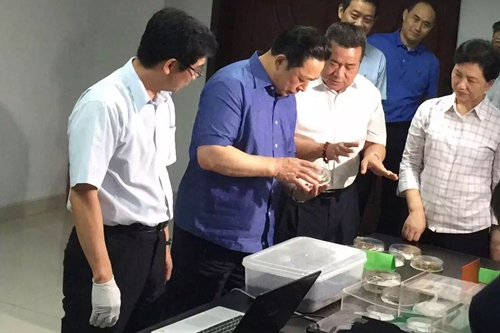 �Ĵ�ʡί��ί����ί��ӛ�S�³���������{(di��o)�������_(t��i)�Y��I(y��)