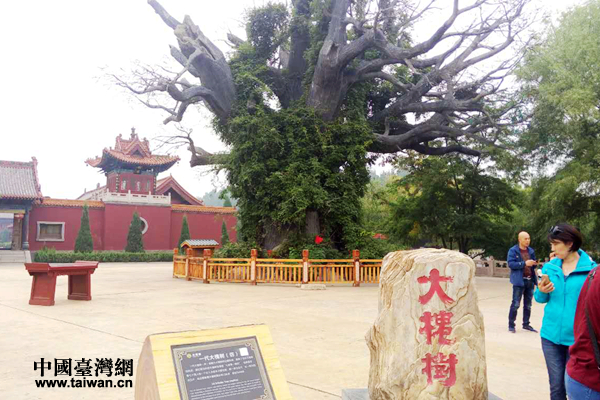 �󻱘���