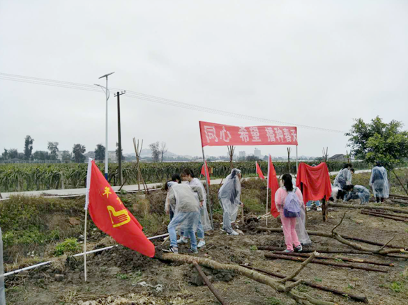 ��ͬ�� ϣ�� ���N���족����2017�꺣�{���ꄓ(chu��ng)�I(y��)�����_������(y��u)ˮ���@�Nֲ����ڸ����_��(chu��ng)�@�e��