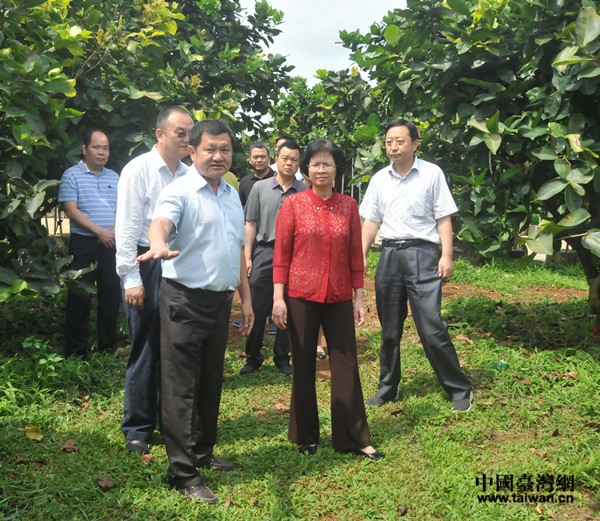 �޲��㸱ʡ�L ȡ����Sؓ(f��)؟(z��)�����_���S���S��r��B