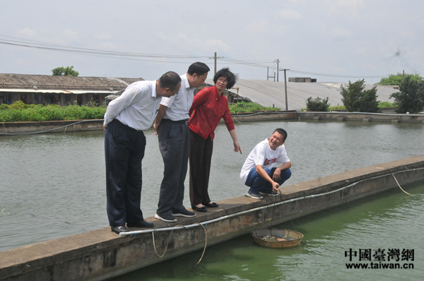 �޲��㸱ʡ�L�ں긣�^�p�~�B(y��ng)ֳ���{(di��o)��