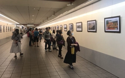 2018���S���������z·������DƬչ���_(t��i)���_չ