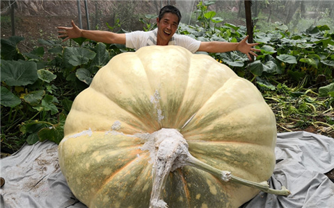 �_(t��i)�r(n��ng)��÷�ݷN��1040���Ϲ� ��(chu��ng)�Ї�(gu��)�����Ϲϼo(j��)�