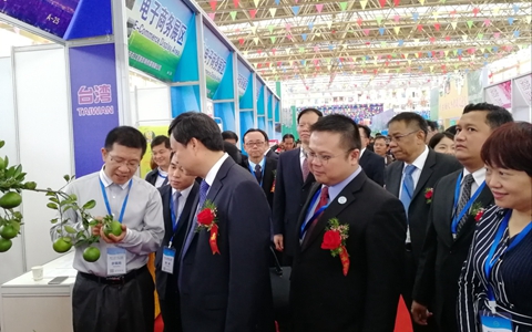 ��ʮһ���Ї�-�|�ˣ���ɫ���F(xi��n)���r(n��ng)�I(y��)չʾ���ו�(hu��)�ڏV���e��