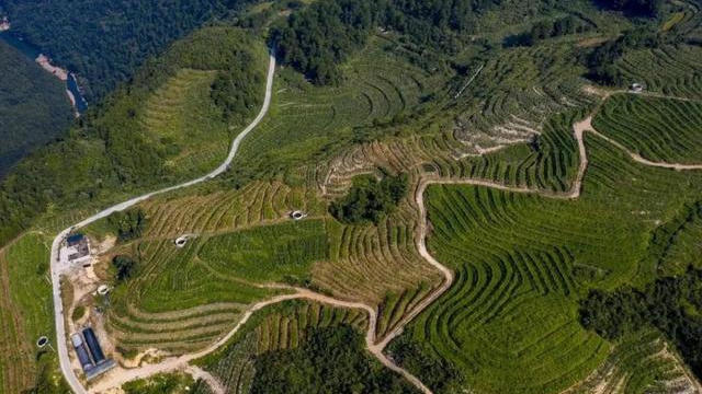 �F������14��ȫ�������־�r(n��ng)�a(ch��n)Ʒ����pick��һ����