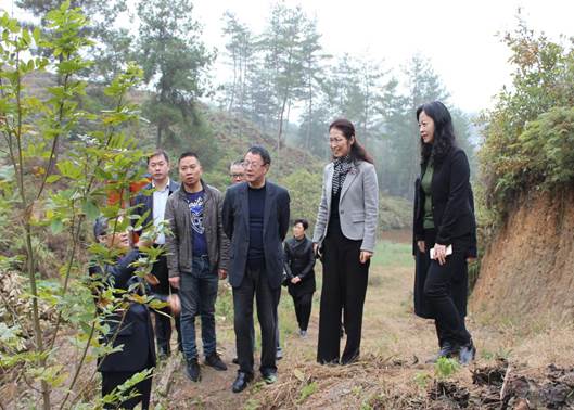 說(shuō)明: 照片 140