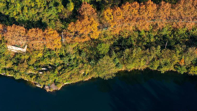 �������������箋