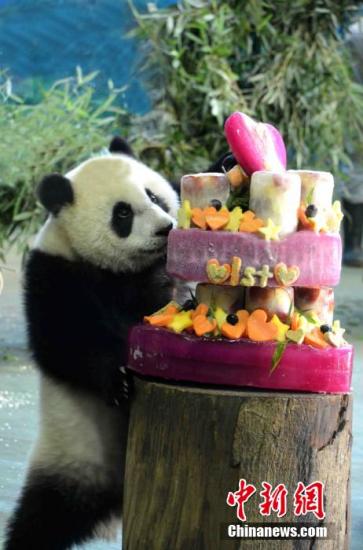 ���A�С���(��i)�������� �����T�����sÓ����