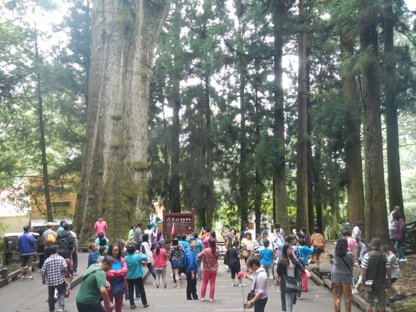 ����ɽ�O(sh��)�_(t��i)�����_(t��i)���Ԅ�(d��ng)�YԴ���ՙC(j��)��