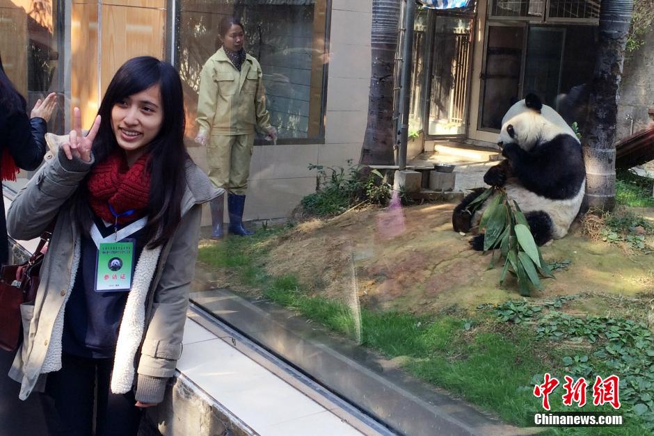 “百歲”熊貓明星巴斯受臺(tái)灣師生熱捧 “百歲”熊貓明星巴斯受臺(tái)灣師生熱捧