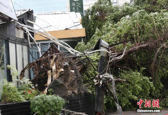 8��8�գ�������_�L���K���_�����_���Q���K���ա�����ꑲ��S�󡰙M�����_����ȫ�_���ش��ܛ_��������8������1�r30�֣�����6������4��ʧۙ��101���܂����D��һ�w��䱻�B�������� <a target='_blank' ><p  align=