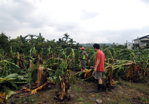 ���K���_�����_���r(n��ng)�I(y��)�pʧ���ظ߹٣��M��l(f��)������