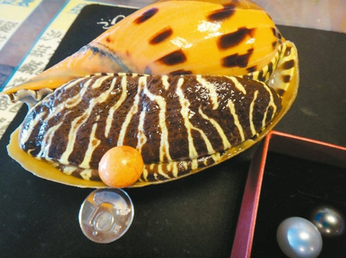 Ҭ���������������顱�_(t��i)�����a(ch��n)���ϰ���쵽��