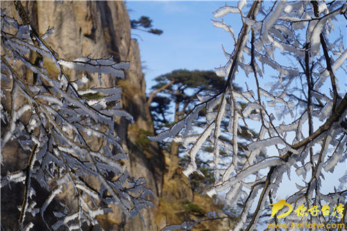 冬日黃山銀裝素裹 人間仙境引兩岸媒體齊點贊 冬日黃山銀裝素裹 人間仙境引兩岸媒體齊點贊