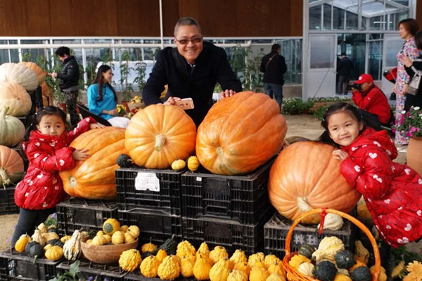 2016�V�|ʡ��ʮ��÷N�I(y��)���[��(hu��)�麣�֕�(hu��)��(ch��ng)�_(t��i)��(chu��ng)�@�_(k��i)Ļ