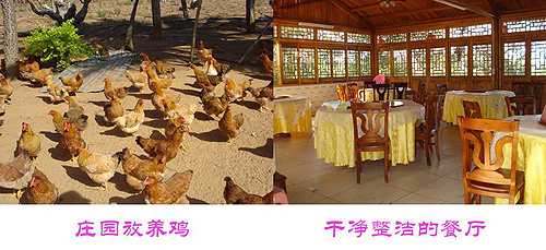 �_�Y��I(y��)�|���f�@ �������e�ȼٵĺ�ȥ̎