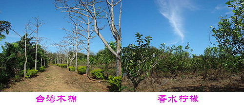 �_�Y��I(y��)�|���f�@ �������e�ȼٵĺ�ȥ̎