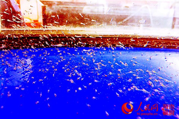  �^�p�~�~��.