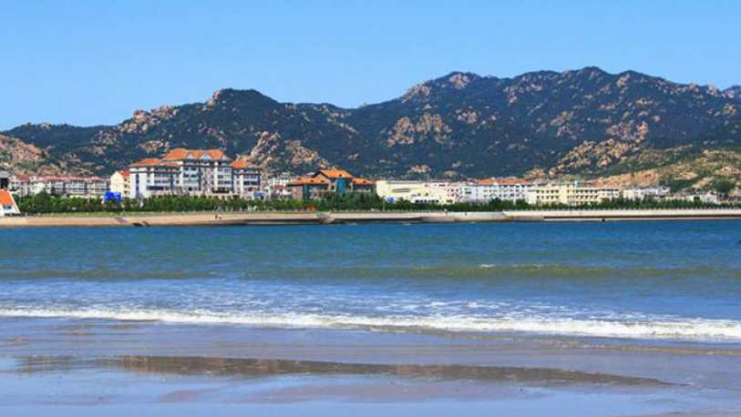 �ϲ�2020�����Q(m��o)�\(y��n)�����L(zh��ng)53.8%