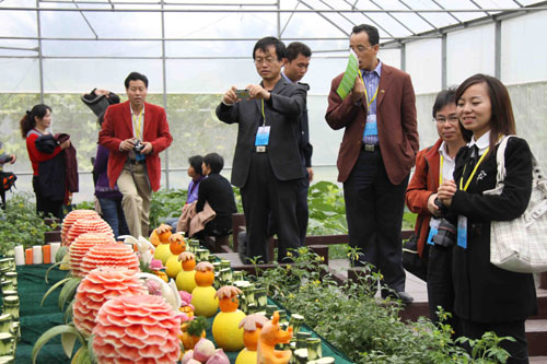 首屆兩岸現(xiàn)代農(nóng)業(yè)博覽會深深吸引海內(nèi)外賓朋目光