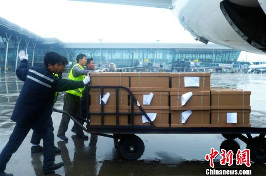 ��ʿ���F��ʾ�����S�������_(t��i)ƽ���\(y��n)���_(t��i)��