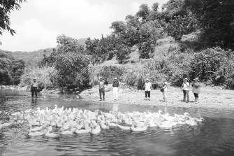 �_���B(y��ng)���f(xi��)�������֡��Ͼ�������