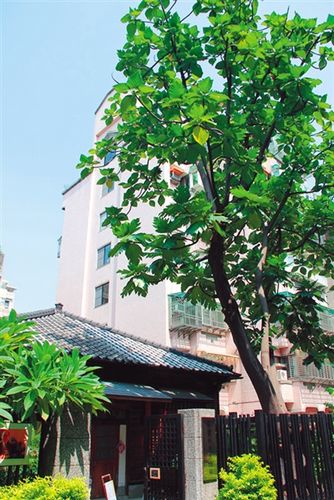 ����(sh��)������һֱ�����Tǰ�@���������