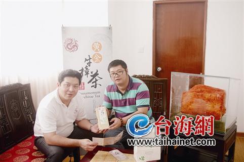 臺商與廈門“合伙人”共推牛樟樹葉茶 臺商與廈門“合伙人”共推牛樟樹葉茶