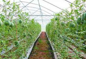 ����һ̖�ļ���ɰ��r(n��ng)�I(y��)�����������̙C