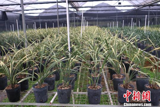 �_�����������ݴ��조�m���ۇ������Ӯ�(d��ng)?sh��)��r(n��ng)���¸�