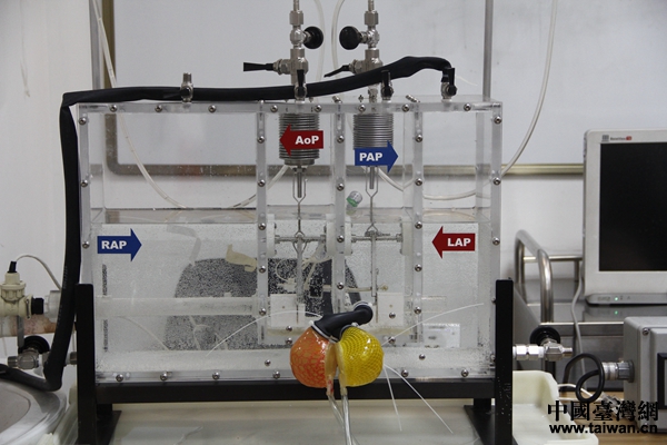 �P��ȫ�˹����Kģ�M�����