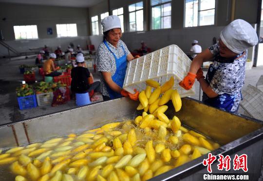 ��ɫ����ꖿh���M��I(y��)��â����ӹ���â���ɳ��������������ȇ���������ε�塡�z