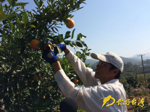 臺(tái)旅行家大陸改行當(dāng)農(nóng)夫 臺(tái)旅行家大陸改行當(dāng)農(nóng)夫