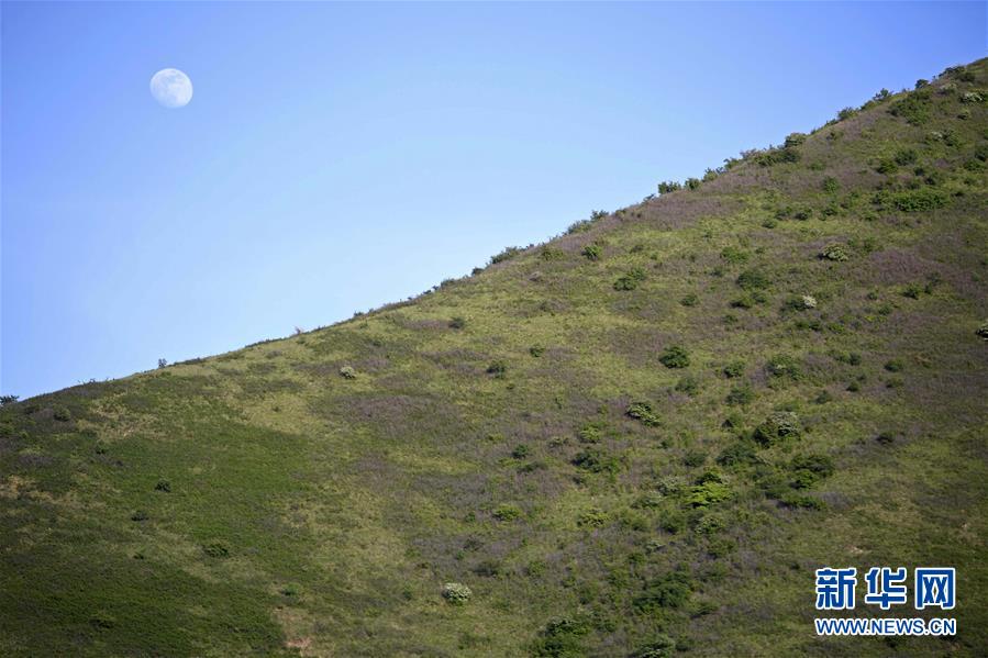 (環(huán)境)(1)綠染西海固