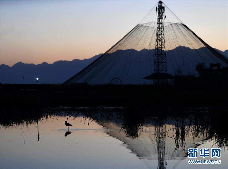 (環(huán)境)(1)依沙傍水 候鳥蹁躚