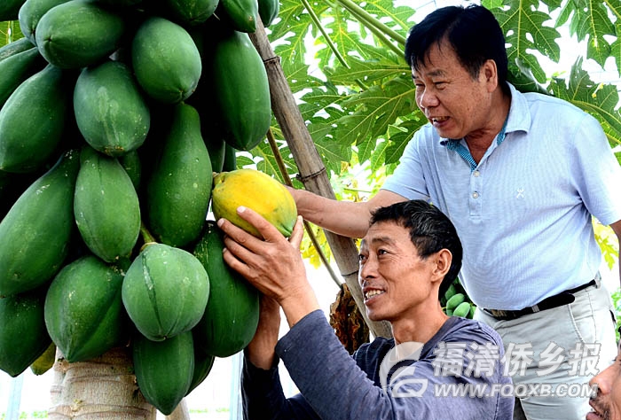 �����_���r��(chu��ng)�I(y��)�@�^(q��)�ƏV�_����(y��u)���߹�