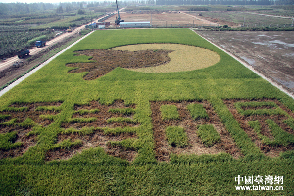 ���Տ]���_���r��(chu��ng)�I(y��)�@��һ�������Ї��_���W ����Ȼ �z