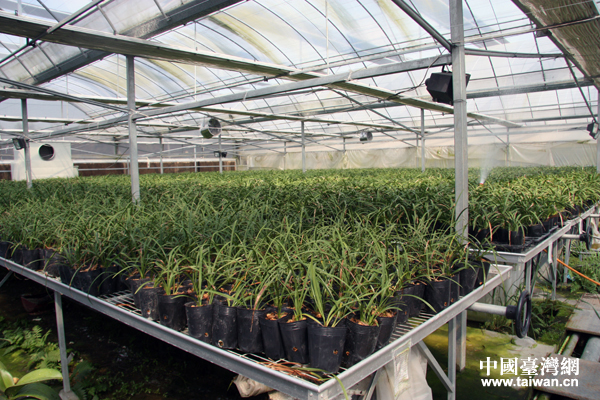 ���Տ]���_���r�I(y��)��(chu��ng)�I(y��)�@���_���m֮���r�I(y��)���B(t��i)�@�����Ї��_���W ����Ȼ �z��