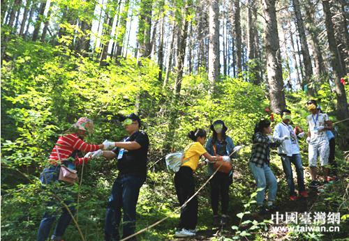 �ɵش�W(xu��)���y�ִ�Խԭʼɭ��