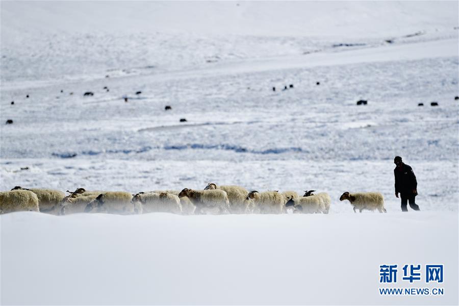 �����(hu��)����1��ѩ��ļ�����ԭ