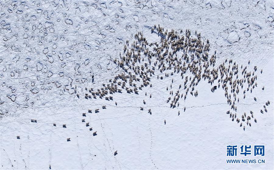 �����(hu��)����2��ѩ��ļ�����ԭ