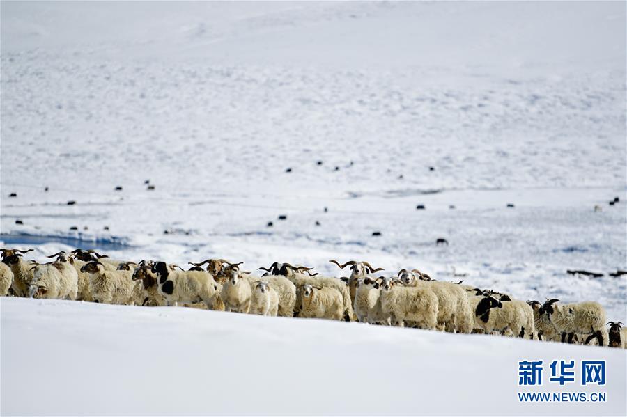 �����(hu��)����3��ѩ��ļ�����ԭ